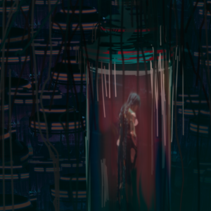 Книга 1.  Пассажир по фану.